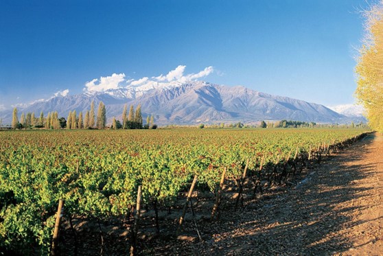 Aconcagua Valley