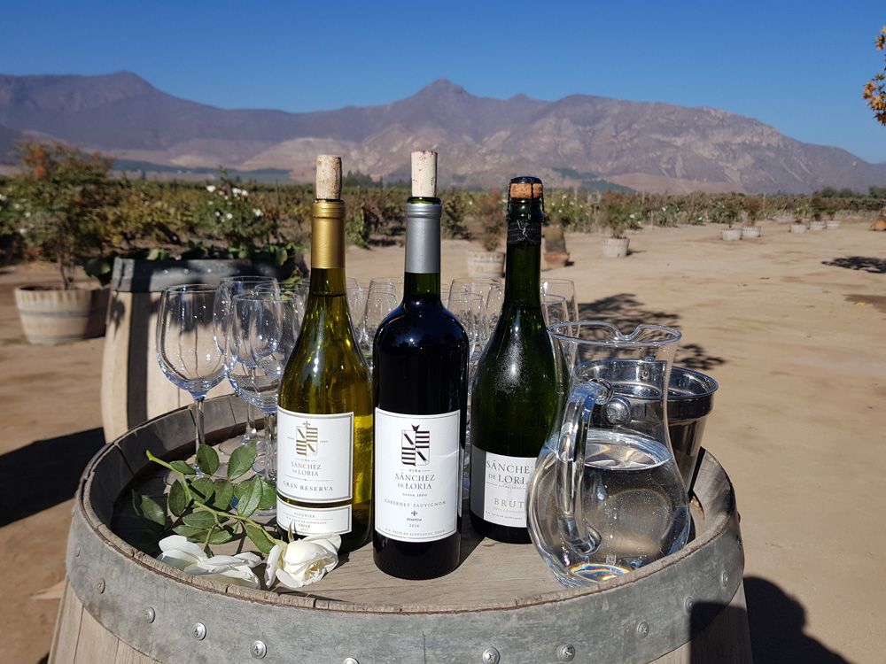 Aconcagua Valley