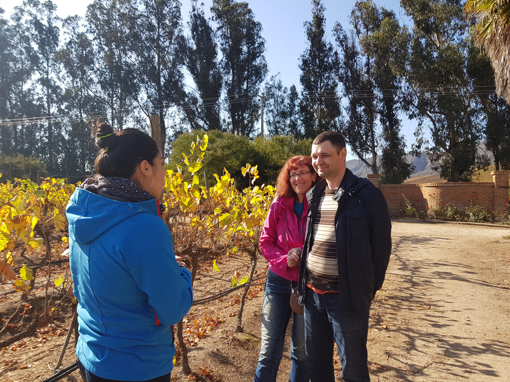 wine tasting