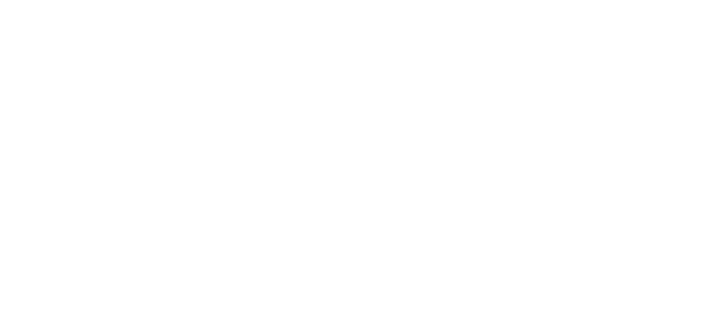 drontours